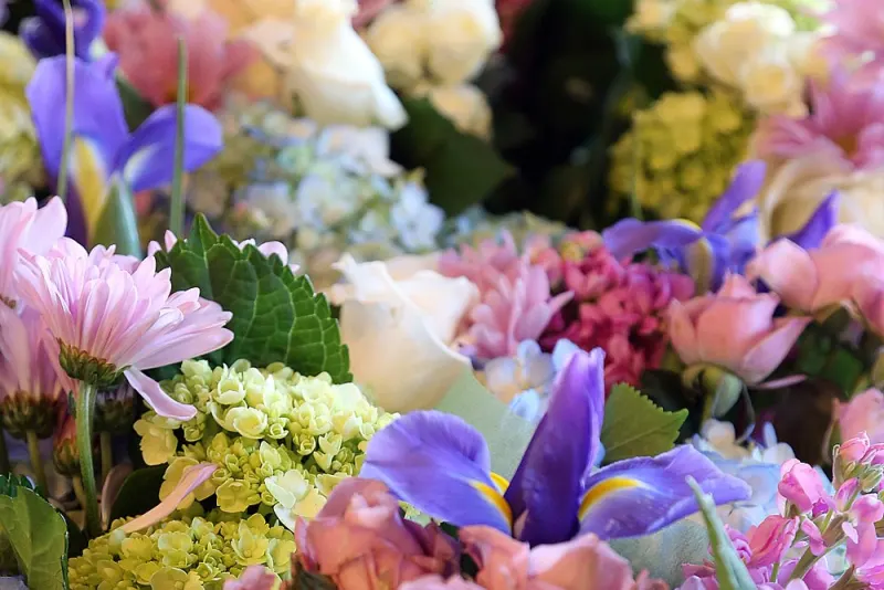 Close-up of iris, hydrangea and roses in a bouquet