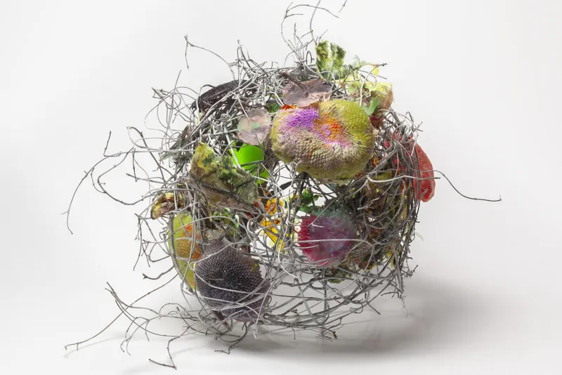 Mixed-media sculpture of twigs, seed heads and color, shown in a Highfield exhibition