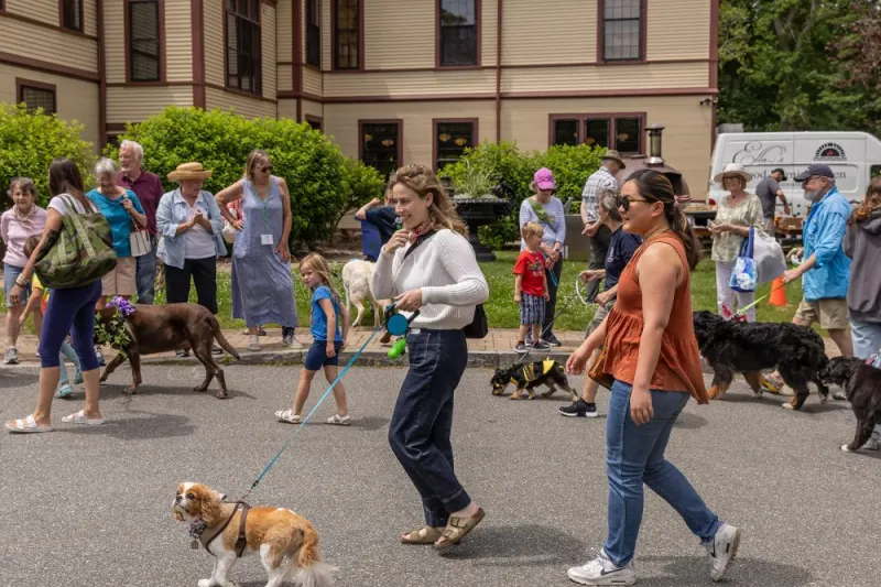 Neighbors and their dogs gathered on the lawn outside Highfield Hall